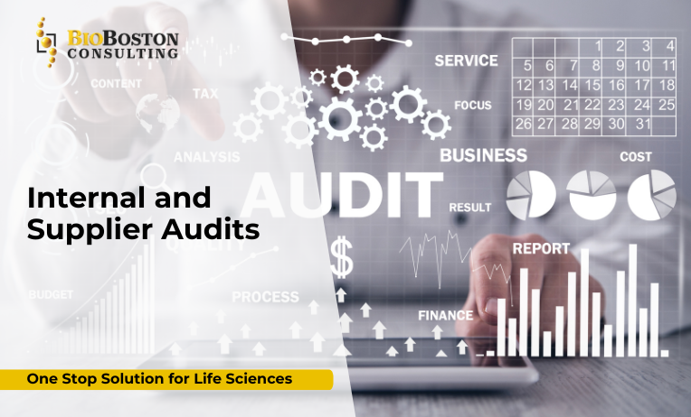 BioBoston internal audit team reviewing SOPs
