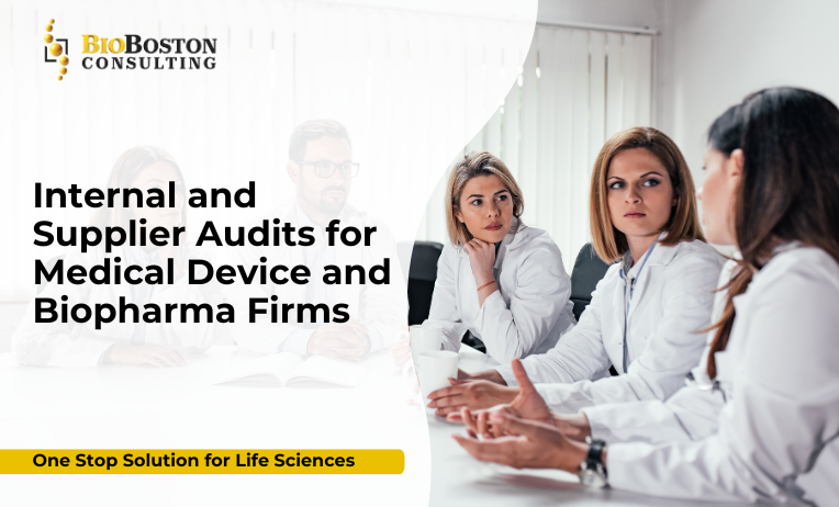 Medical device internal audit process for regulatory compliance