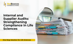 Internal audit compliance in life sciences companies