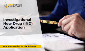 IND application consulting for drug development