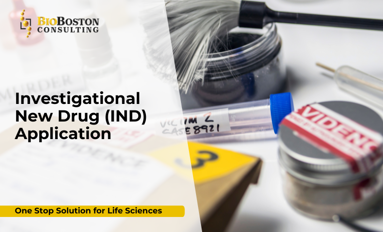 2. What Is an Investigational New Drug (IND) Application?