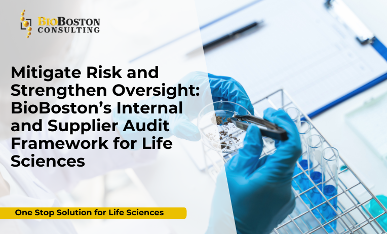 Internal audits for GxP and FDA compliance in life sciences with BioBoston Consulting