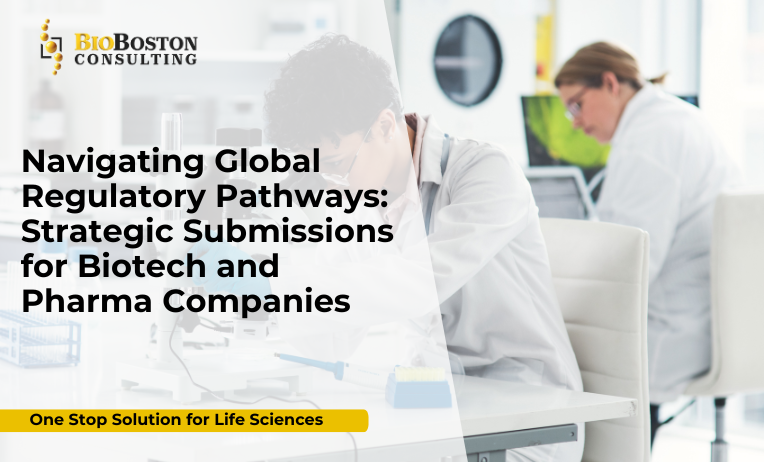 Global regulatory strategy roadmap for FDA, EMA, and international submissions by BioBoston Consulting