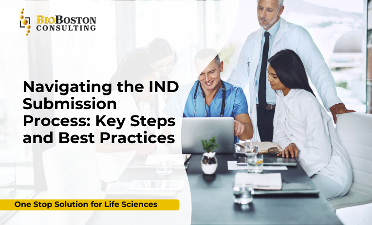 Navigating the IND Submission Process: Essential Steps & Best Practices for Life Sciences Sponsors