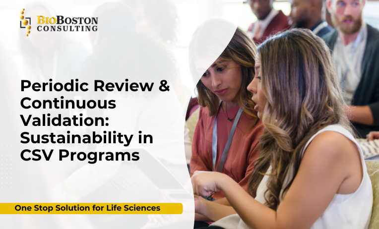 Sustaining Compliance: Periodic Review and Continuous Validation in CSV Programs