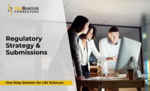 BioBoston team developing regulatory strategy and submission roadmap