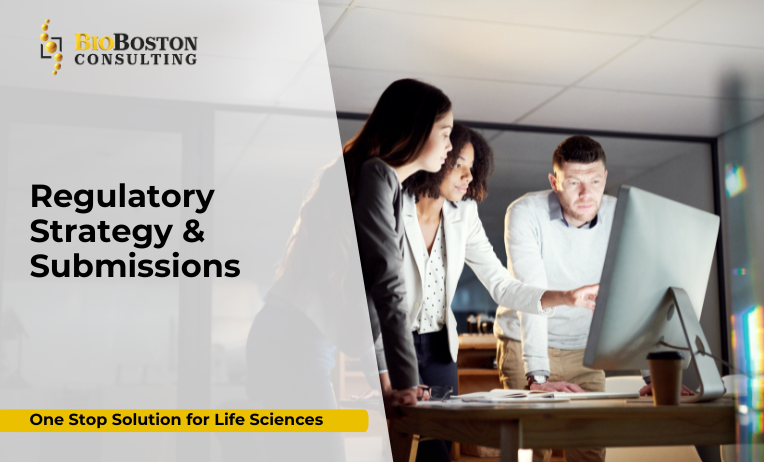 BioBoston team developing regulatory strategy and submission roadmap
