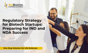 NDA submission guidance with FDA and EMA compliance for life sciences innovators