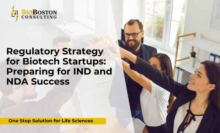 NDA submission guidance with FDA and EMA compliance for life sciences innovators