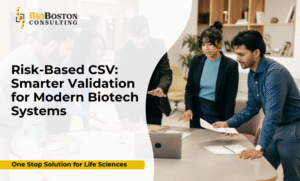 Computer System Validation consulting