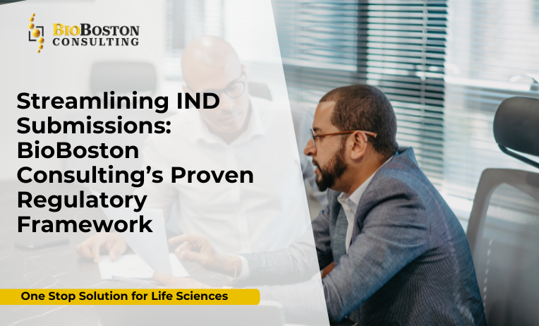 Accelerate IND Success with Strategic Regulatory Support