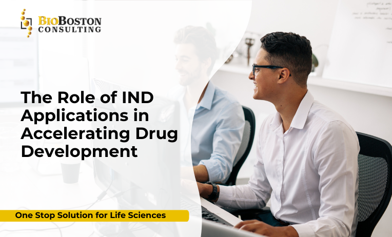 Accelerating Drug Development with IND Applications: A Strategic Guide for Life Sciences Sponsors