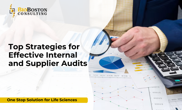 Internal audit compliance in life sciences companies