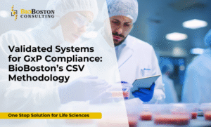 Validated systems for GxP compliance in life sciences