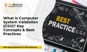 Computer System Validation (CSV) in life sciences – FDA, EMA, GAMP 5 compliance