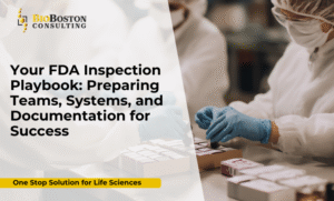 Mock FDA inspection to prepare biotech and pharma teams