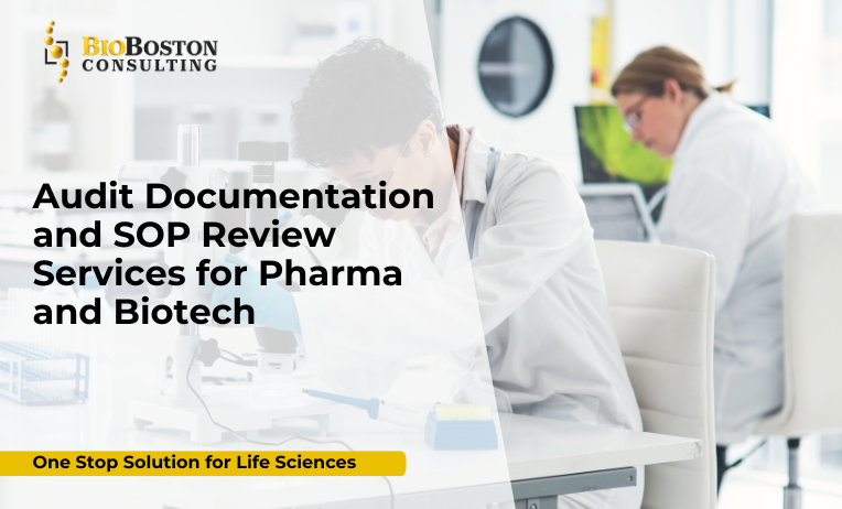BioBoston Consulting experts conducting pharma audit documentation review for FDA compliance