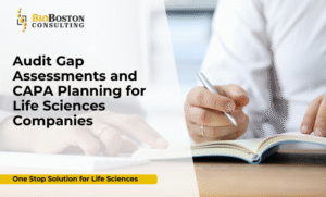 GxP audit gap assessment process