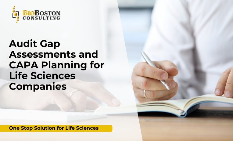 GxP audit gap assessment process