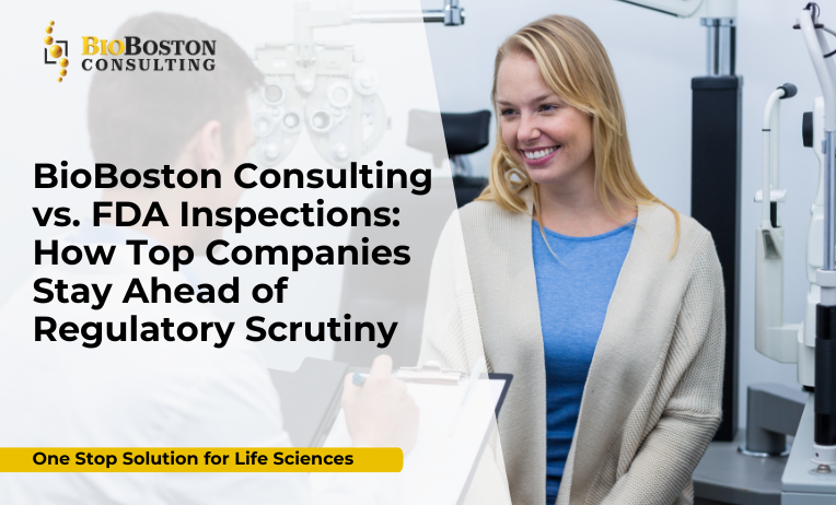 BioBoston Consulting FDA inspection readiness services