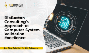 CSV implementation in life sciences operations