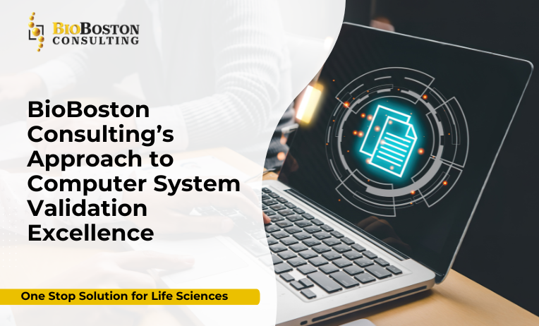 CSV implementation in life sciences operations