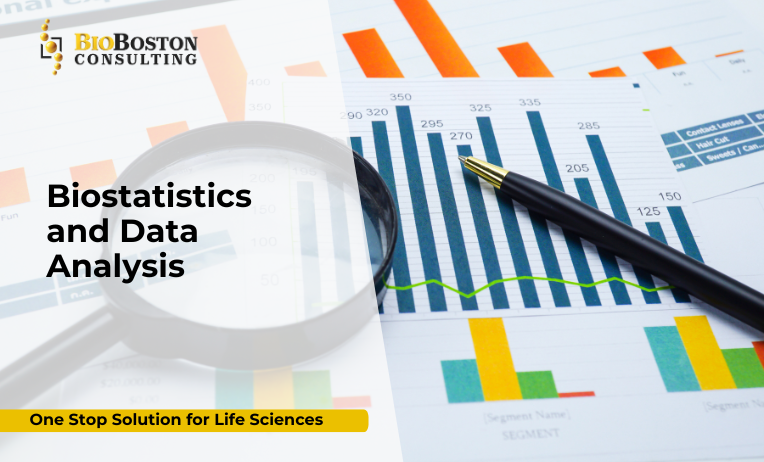 Biostatistics and Data Analysis Services – BioBoston Consulting