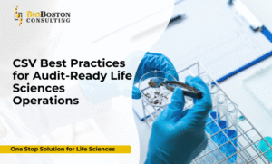 Computer System Validation (CSV) best practices in life sciences