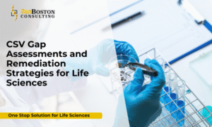 CSV gap assessment and remediation strategies for life sciences