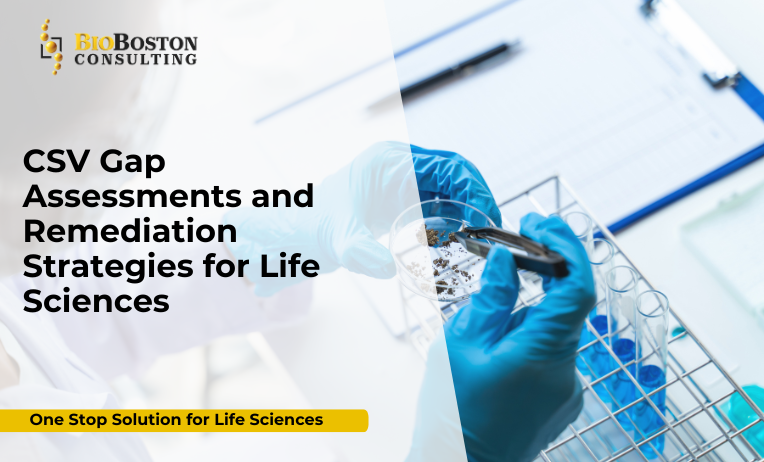 CSV gap assessment and remediation strategies for life sciences