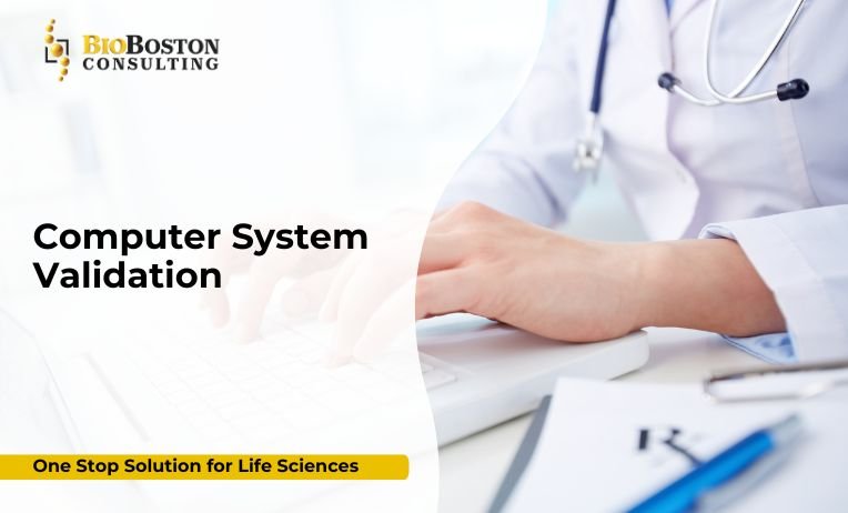 omputer System Validation CSV process overview