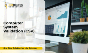 Computer System Validation (CSV) services for life sciences – BioBoston Consulting