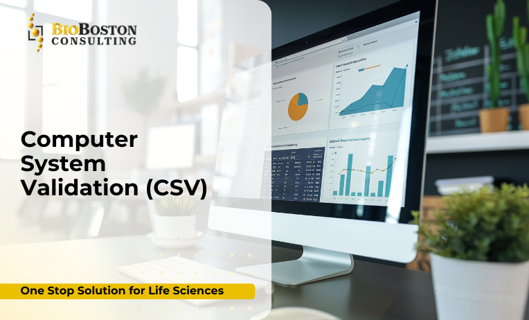 Computer System Validation (CSV) services for life sciences – BioBoston Consulting