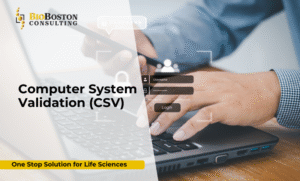 Life sciences CSV workflow diagram