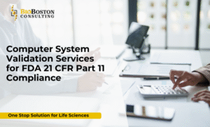 BioBoston Consulting team performing computer system validation for FDA 21 CFR Part 11 compliance