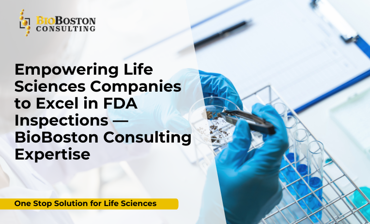FDA inspection readiness consulting by BioBoston Consulting