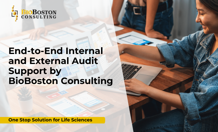 Internal and External Audit Support for Pharma and Biotech – BioBoston Consulting
