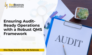 Audit-ready operations in life sciences with validated QMS