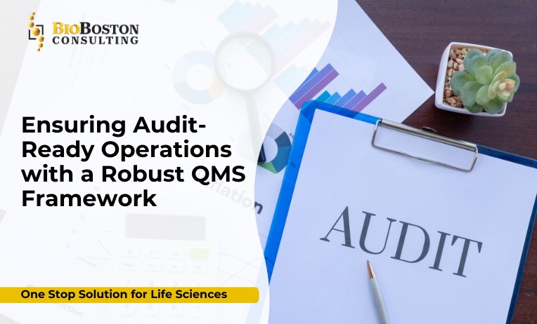 Audit-ready operations in life sciences with validated QMS