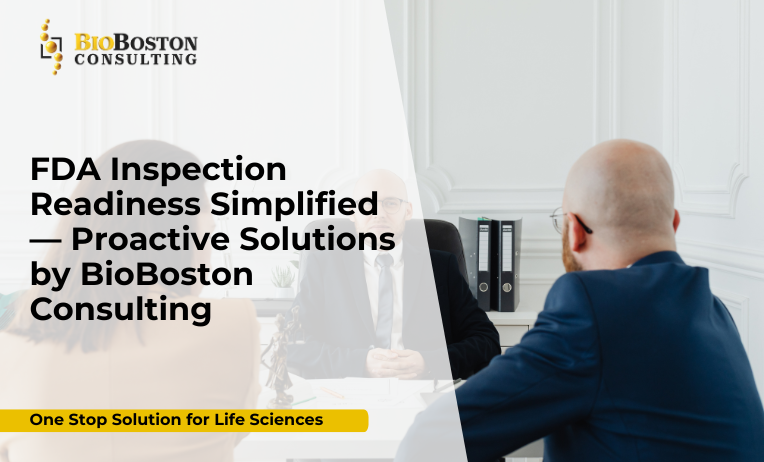 Mock FDA audit simulation by BioBoston Consulting