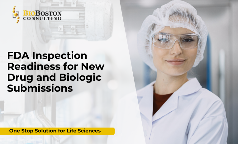 Why FDA Inspection Readiness Matters for NDAs and BLAs
