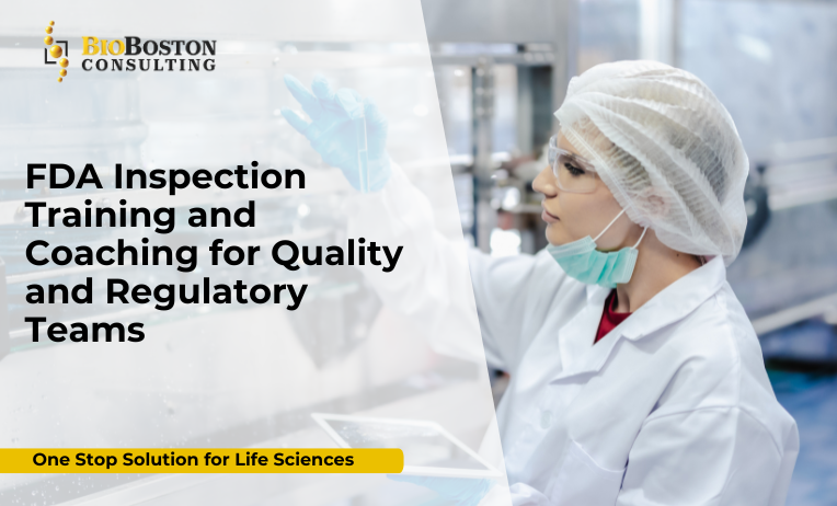 BioBoston Consulting team conducting FDA inspection training for QA personnel