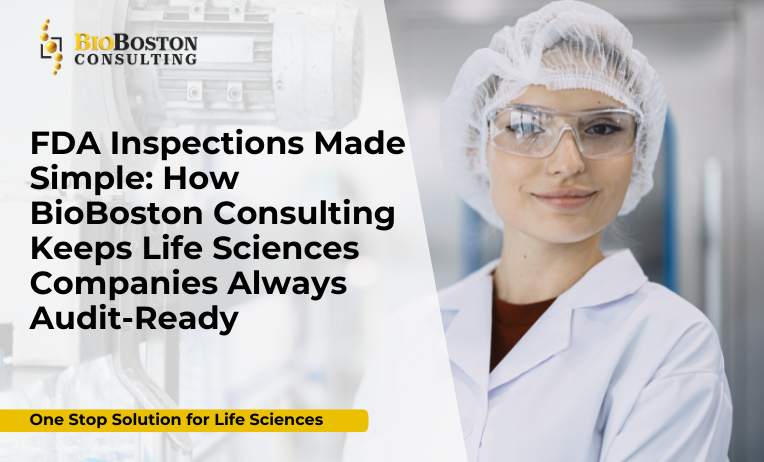 BioBoston Consulting FDA inspection readiness services
