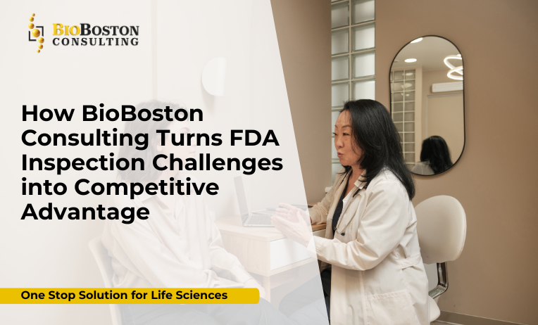 BioBoston Consulting FDA inspection readiness services