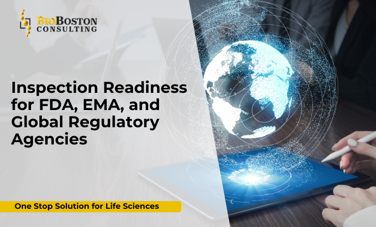 BioBoston Consulting staff conducting global inspection readiness training for FDA and EMA compliance