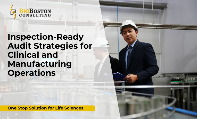Pharma audit readiness for FDA and EMA inspections by BioBoston Consulting