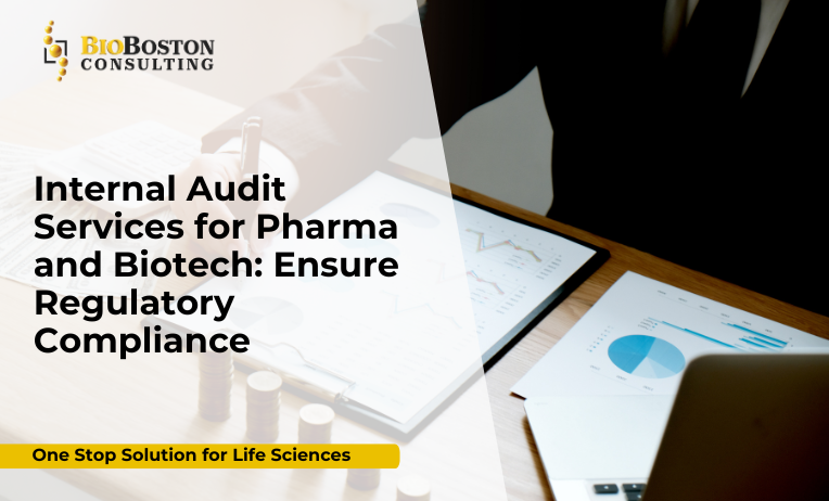 Internal Audit Services for Pharma and Biotech – BioBoston Consulting