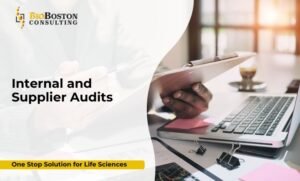 Internal and supplier audit services for life sciences companies