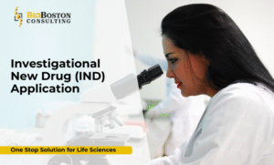 IND application consulting services for drug development