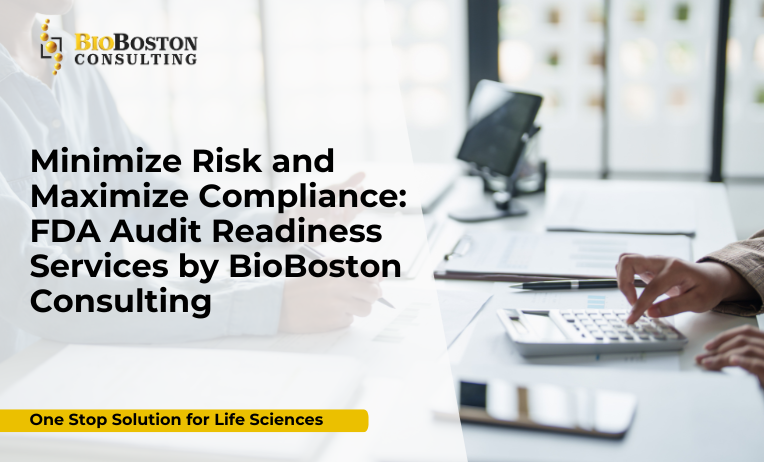 FDA audit readiness consulting by BioBoston Consulting